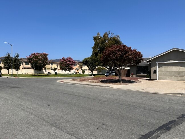 Photo - 984 McKenzie Ave