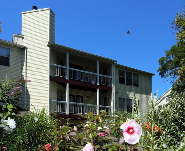 Riverview Apartments Laurel, MD