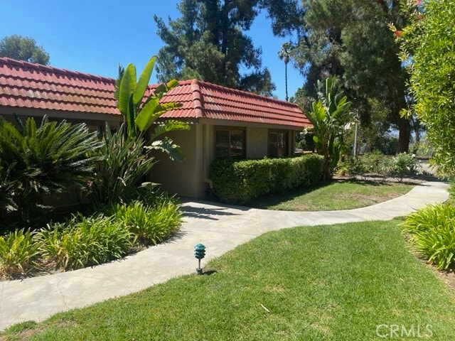 3561 Terrace