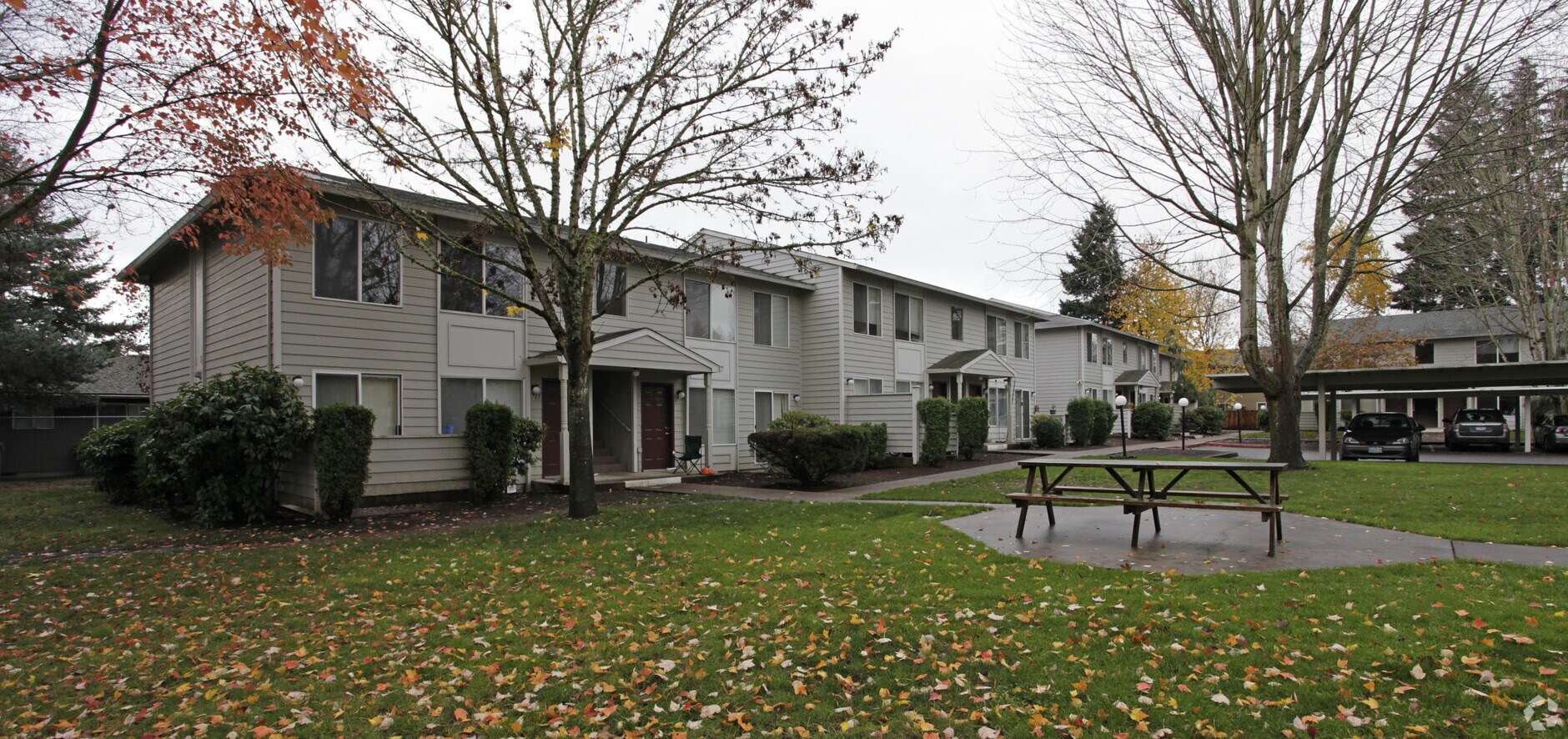 Maple Terrace Apartments - Maple Terrace Apartments