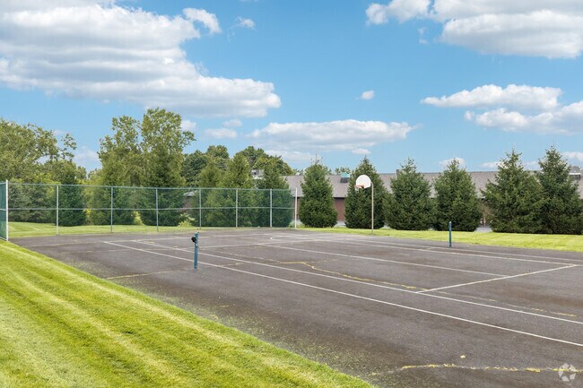 Athletic Courts