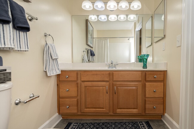 The Summit at Owings Mills Apartments
