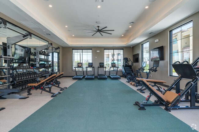 Gimnasio