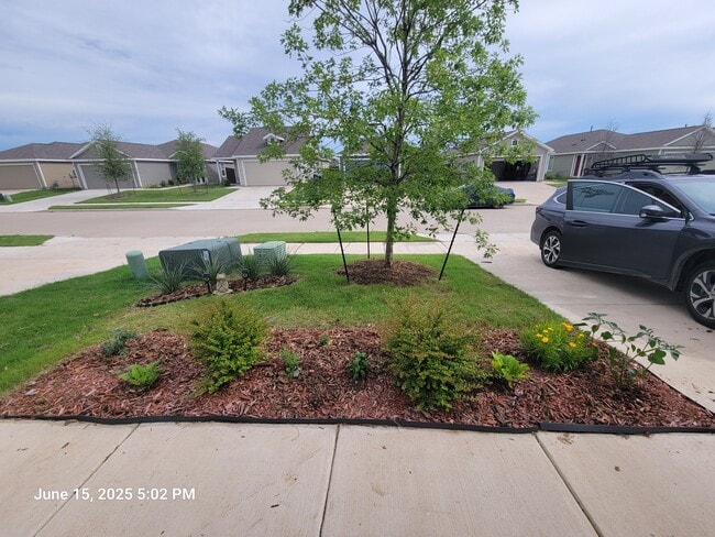 Photo - 3616 Esperanza St