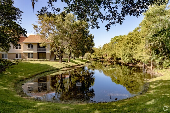 Orillas de la isla - Island Shores