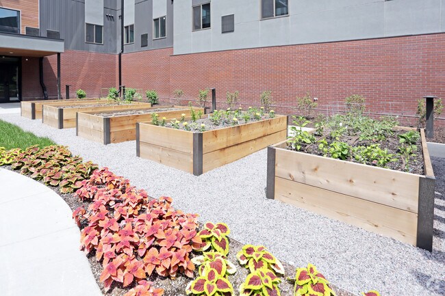 Community Garden