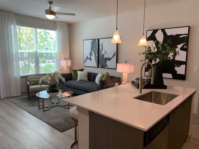 Photo - Aurora on the Trail