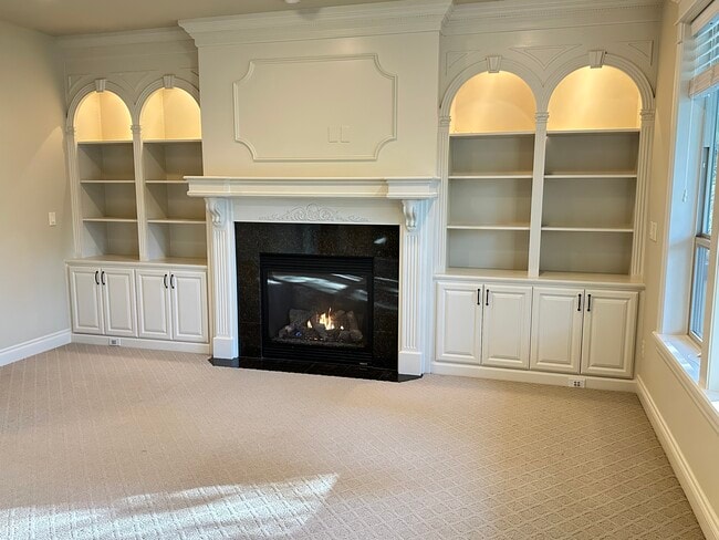 Gas fireplace and plenty of display/ storage