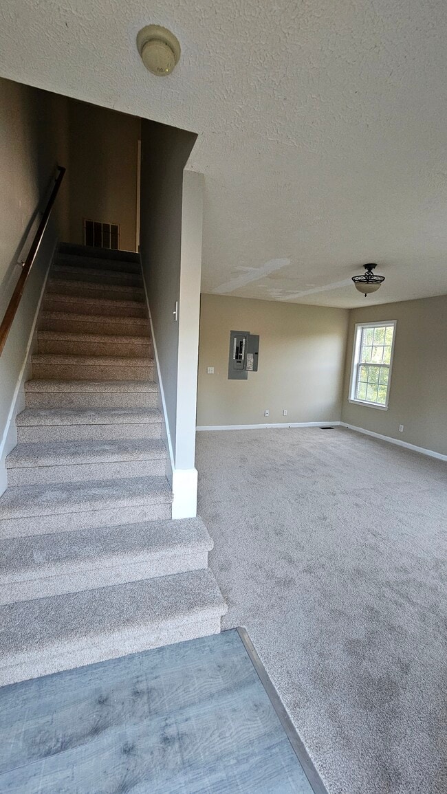 Photo - 138 Fox Creek Ct