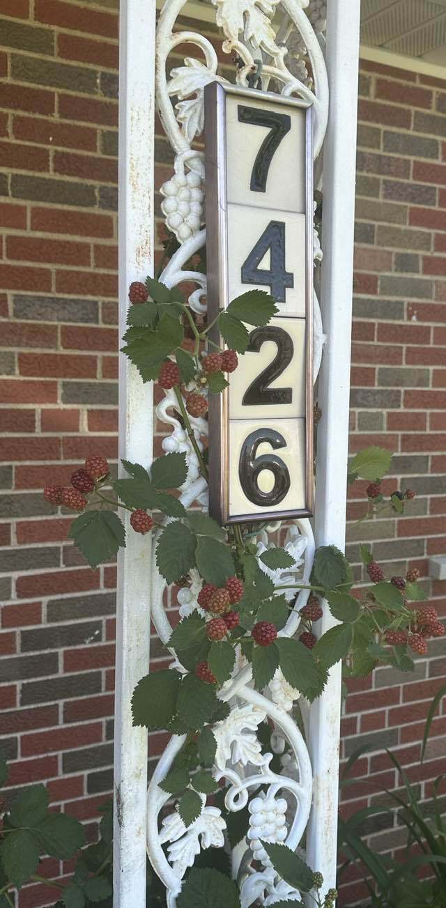 Photo - 7426 Lindbergh Dr