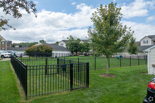 Pet Area