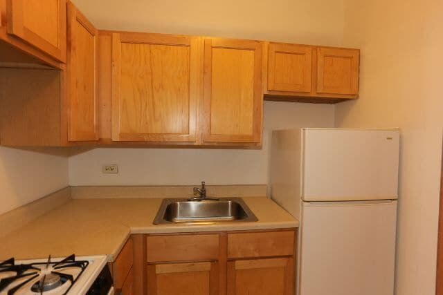 1023 N Dearborn St Unit 504