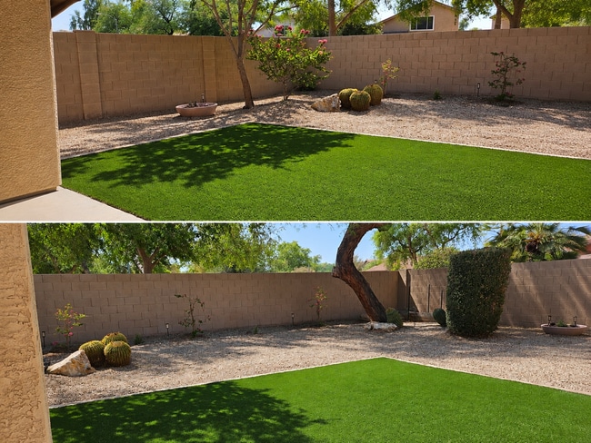 Backyard New Turf