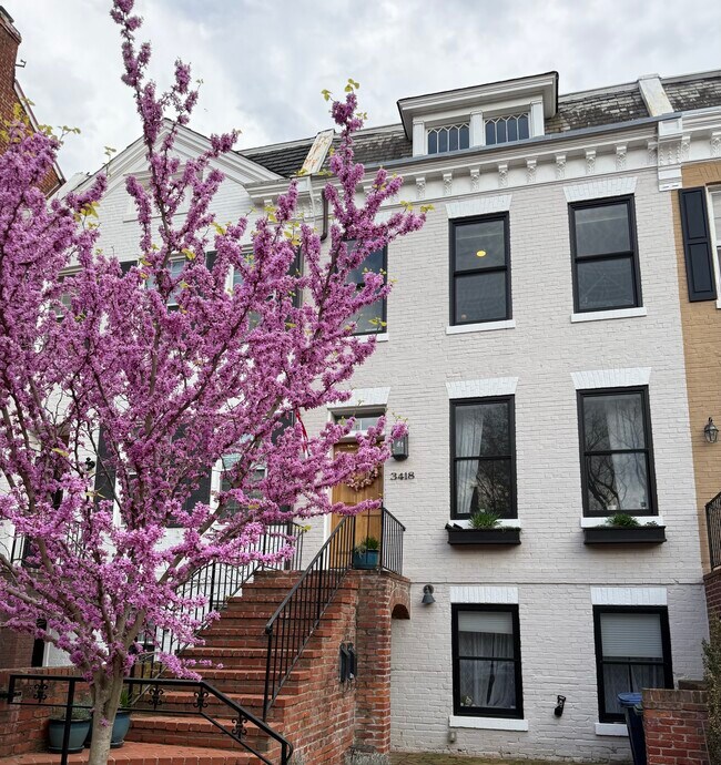 Front entry - 3418 R Street NW