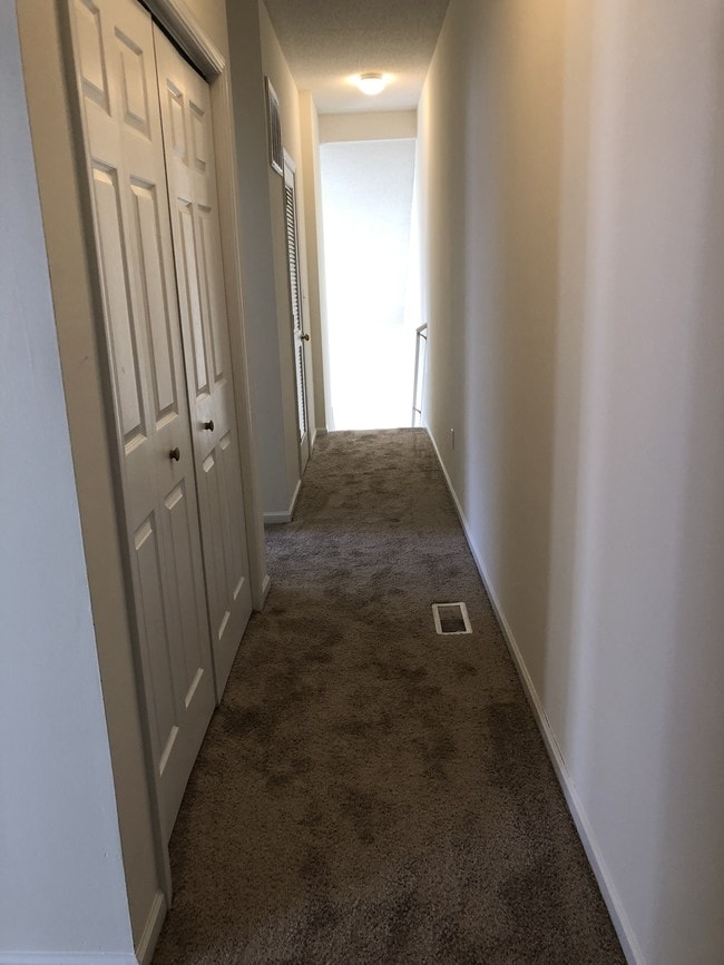 The Hill Apartments For Rent in Columbia, MO