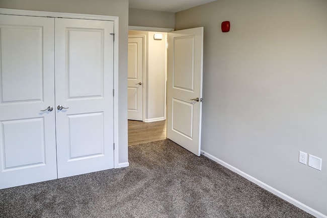 Photo - Tristan Ridge