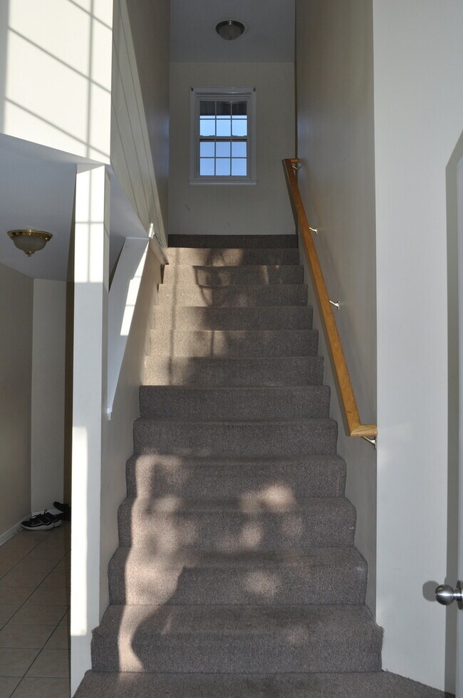 223 S Rush St Unit 2D