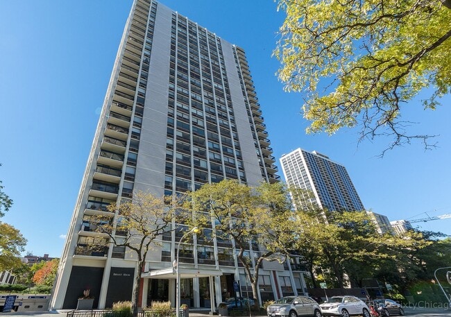 Building Photo - 1455 N Sandburg Terrace Unit 1909 Rental