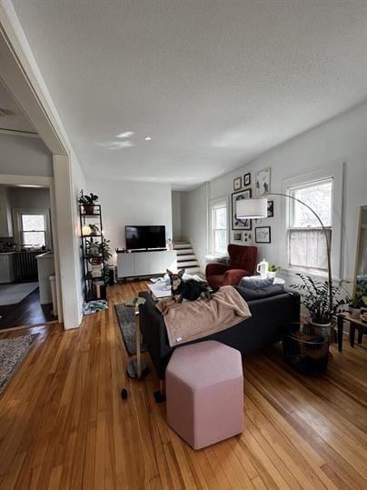 Photo - Charming 2-Bedroom Retreat in the Heart of Minneapolis! 7/1/2026
