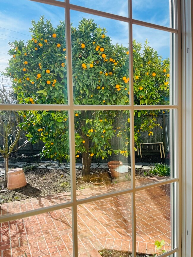 Photo - 200 Iris Way