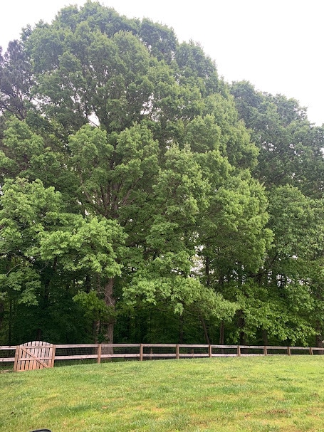 Photo - 1157 Woodwinds Dr