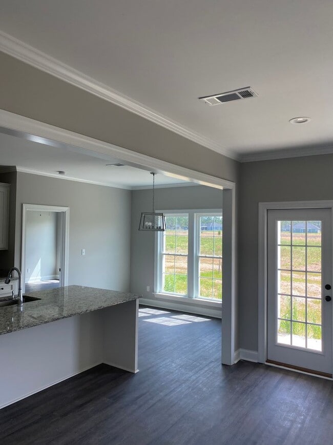 Photo - Brand New Construction- Lee County, GA
