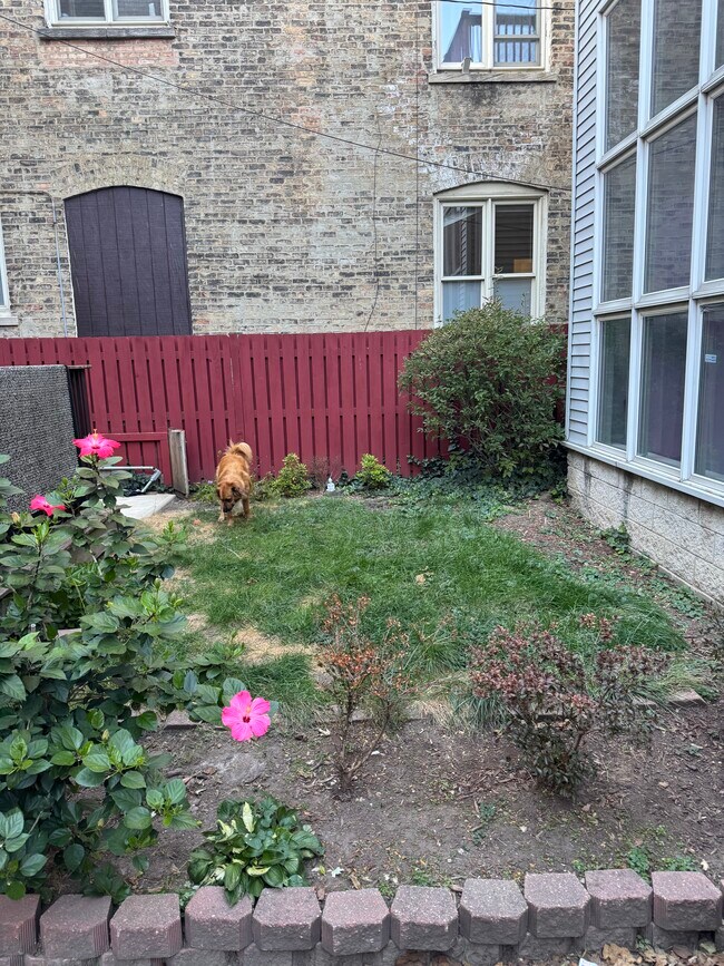 Photo - 1929 N Sheffield Ave Unit 2R