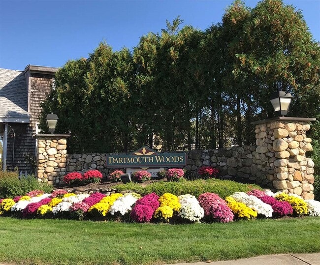 Photo - Dartmouth Woods