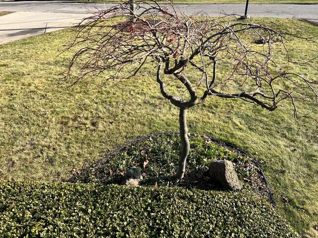 Photo - 38215 Circle Dr