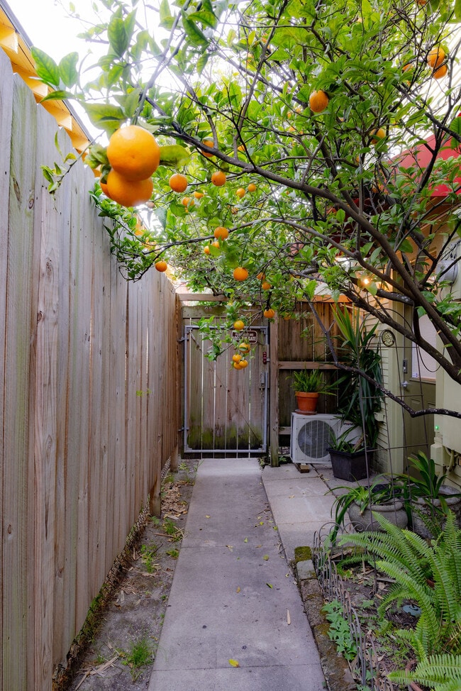 Gated Side Entrance Leads to the Front of the House. - 130 S Cortez St Unit Japoolzzi Suite