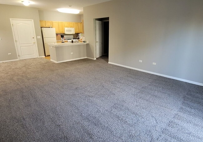 Photo - 1259 W Lake St Unit 206