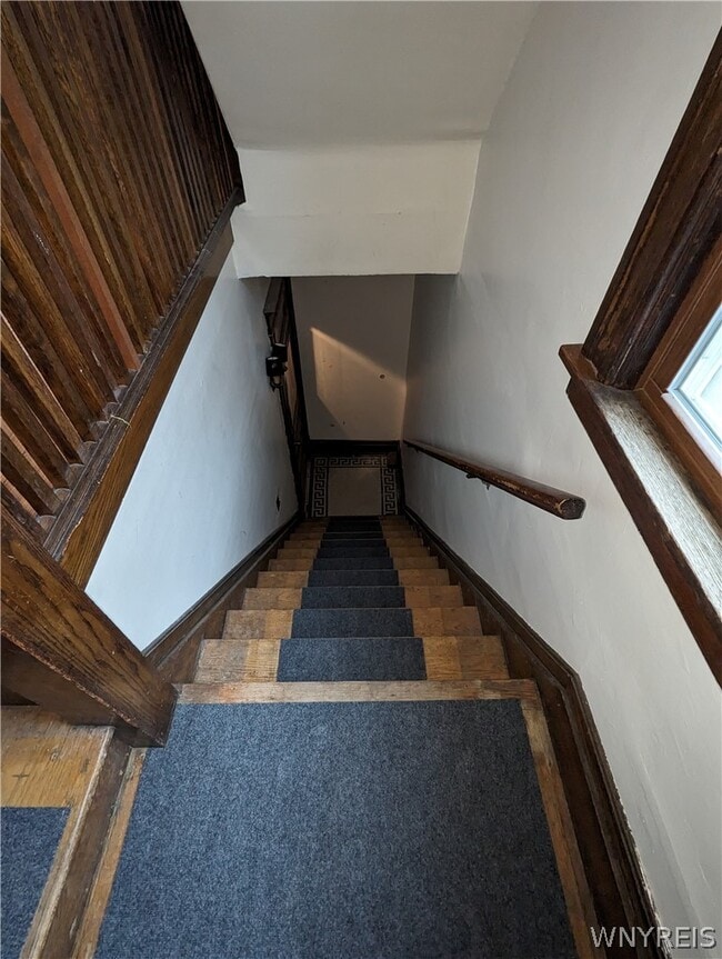 Photo - 37 Manchester Pl
