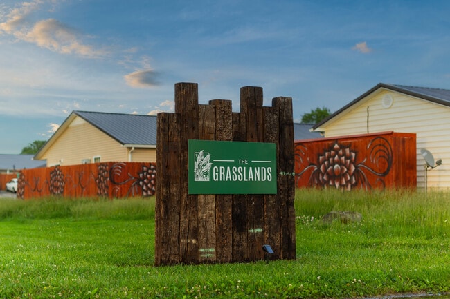 The Grasslands