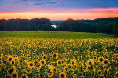 Photo - 32 Talcott Ave