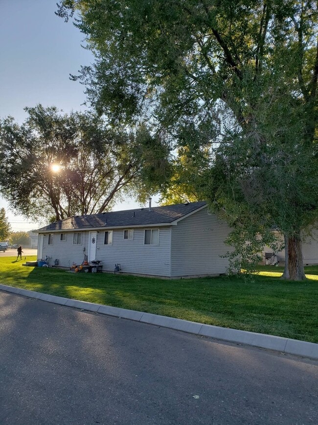 Maple-920- 1&amp;2 - Maple-920- 1&amp;2 Apartment Unit Maple #1