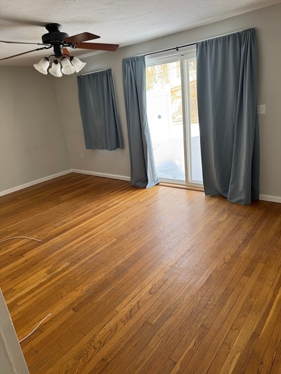 Photo - 19 Haringa Ave