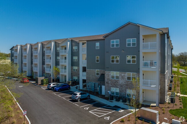 The Arcadia - The Arcadia