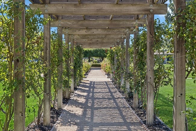 The Grove at Walnut Creek