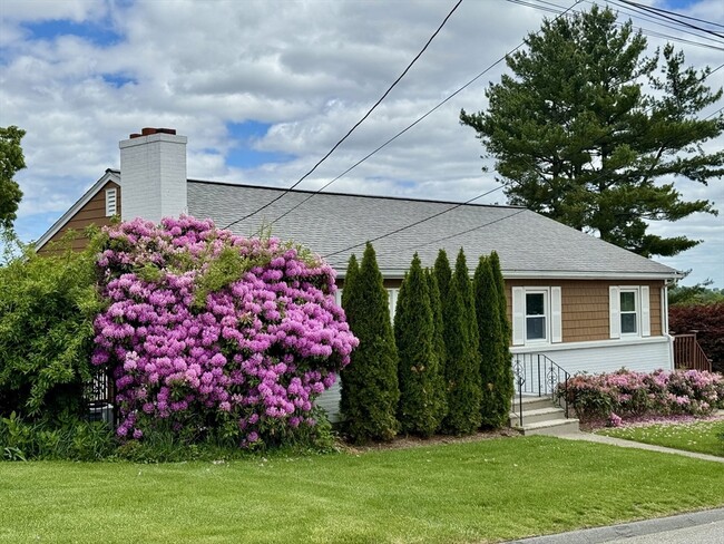 Photo - 21 Shawmut Rd Casa