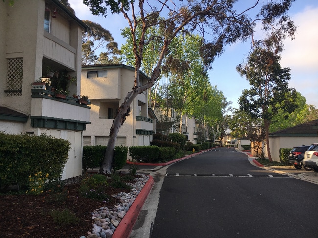 3199 Evening Way
