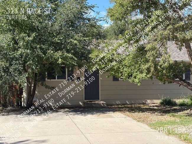 Building Photo - 313 N Race St Rental