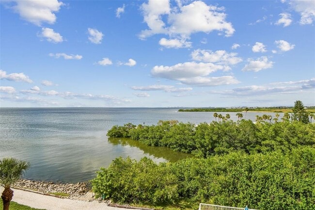 Building Photo - 5000 Culbreath Key Way Unit 9-314
