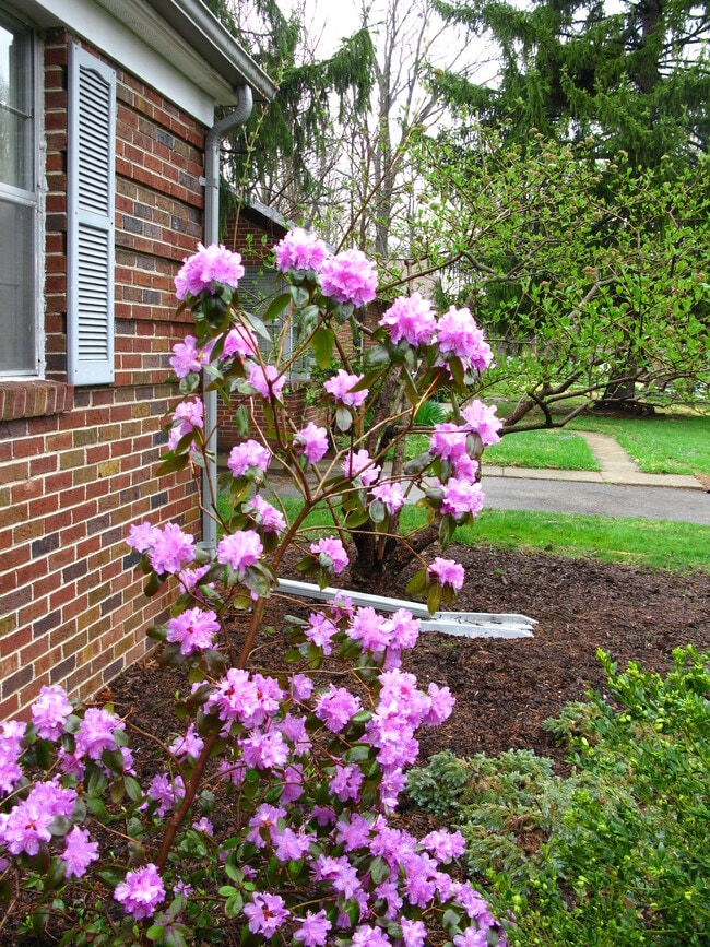 Photo - 5614 Rosslyn Ave