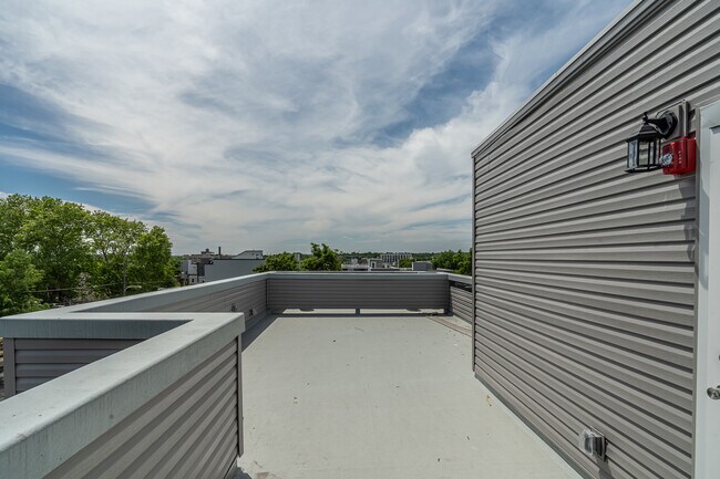 Photo - Bailey on the Park