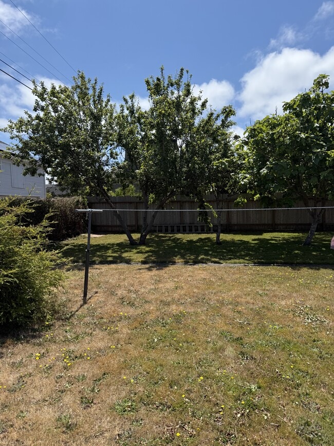 Photo - 2303 B St