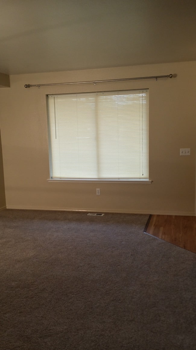 Curtain Rods and Blinds - 1211 Balfour Dr