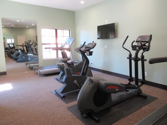 6651 N Campbell Ave Unit 124
