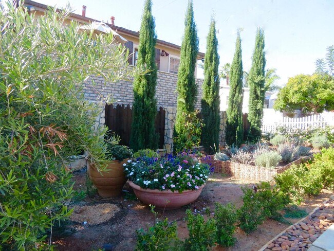 Photo - 4256 Noyes St Unit 4256