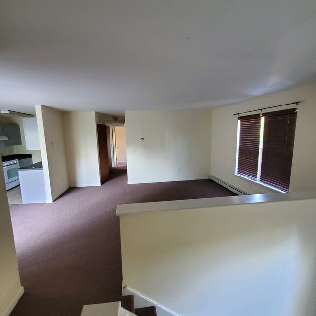 Photo - 16 Morris St