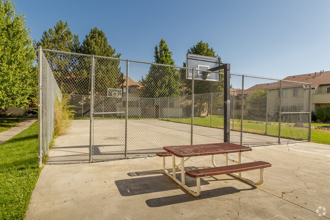 Basketball Court